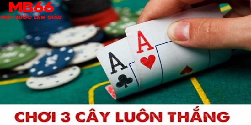 5699win SA Trực Tuyến
