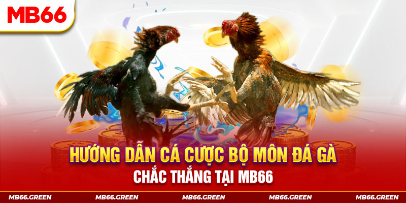 5699win CQ9 Điện Tử