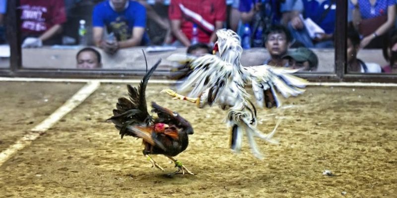 5699win xổ số miền bắc hôm quả