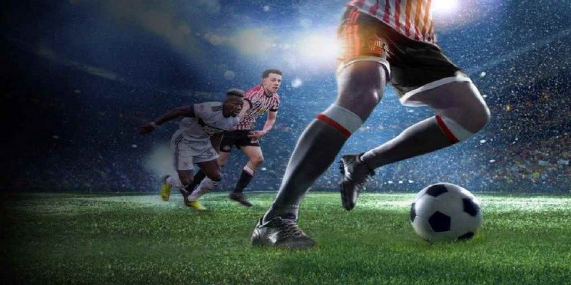 5699win đá gà trực tiếp hôm nay