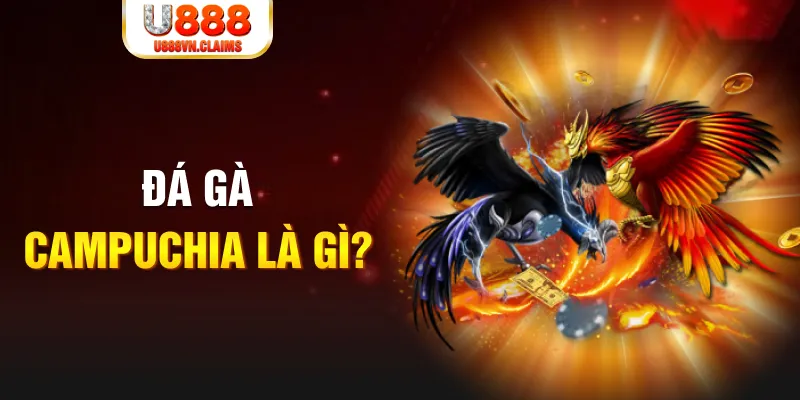 5699win xổ số miền nam thứ sáu