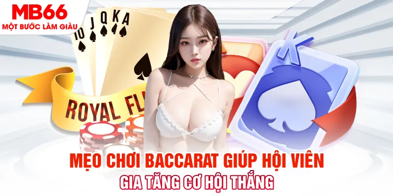 5699win đá gà 88
