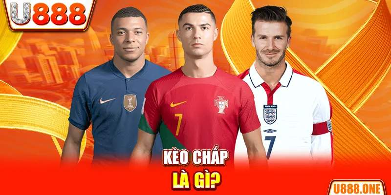 5699win chổi lông gà