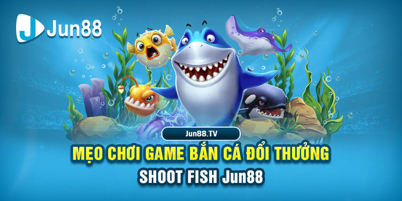 5699win tai game danh bai bigkool ve may tinh