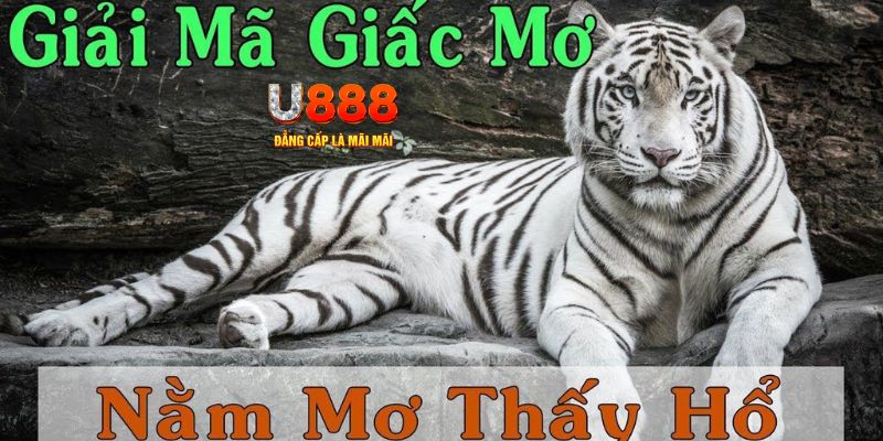 5699win xổ số kiến thiết miền bắc