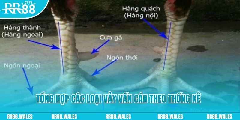 5699win nổ hũ chơi như thế nào