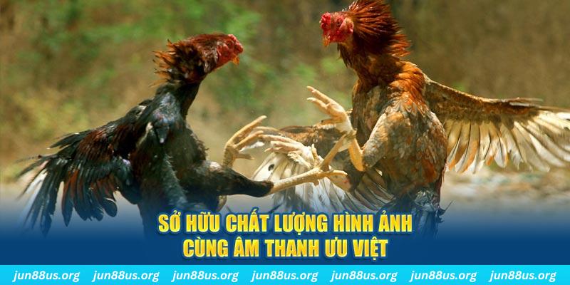 5699win tai game danh bai ve may tinh