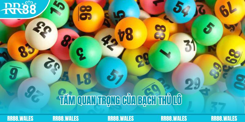 5699win đá gà trực tiếp casino