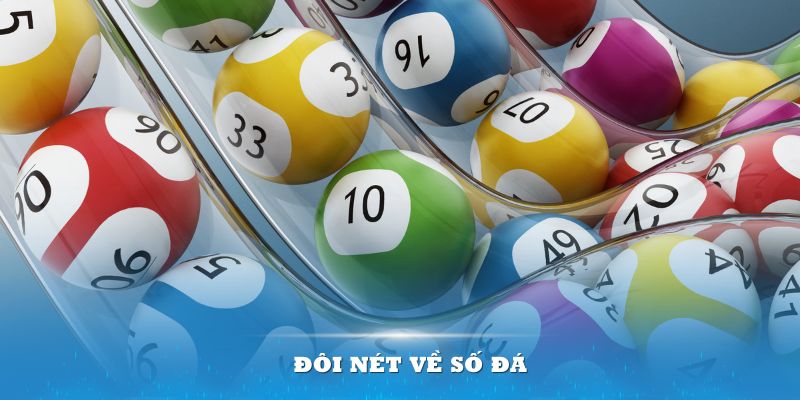 5699win gà chọi tiêu phong