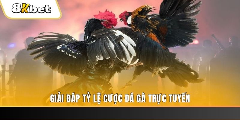 5699win xổ số ba đài