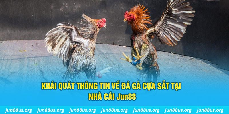 5699win game bài trên máy tính