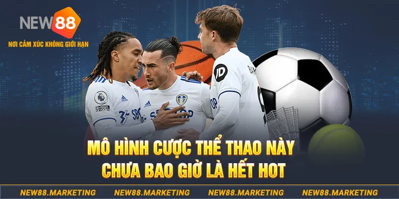 5699win gà chọi c1 thomo