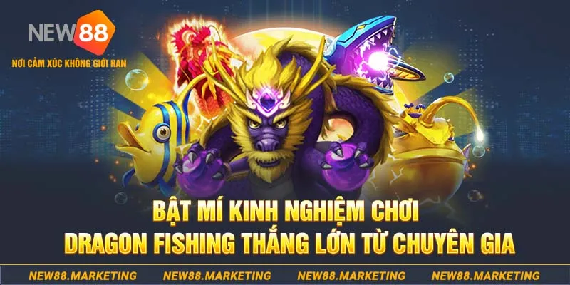 5699win who wants to be a millionaire slot