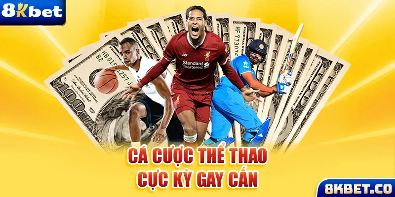 5699win Bữa tiệc dành cho thanh thiếu niên